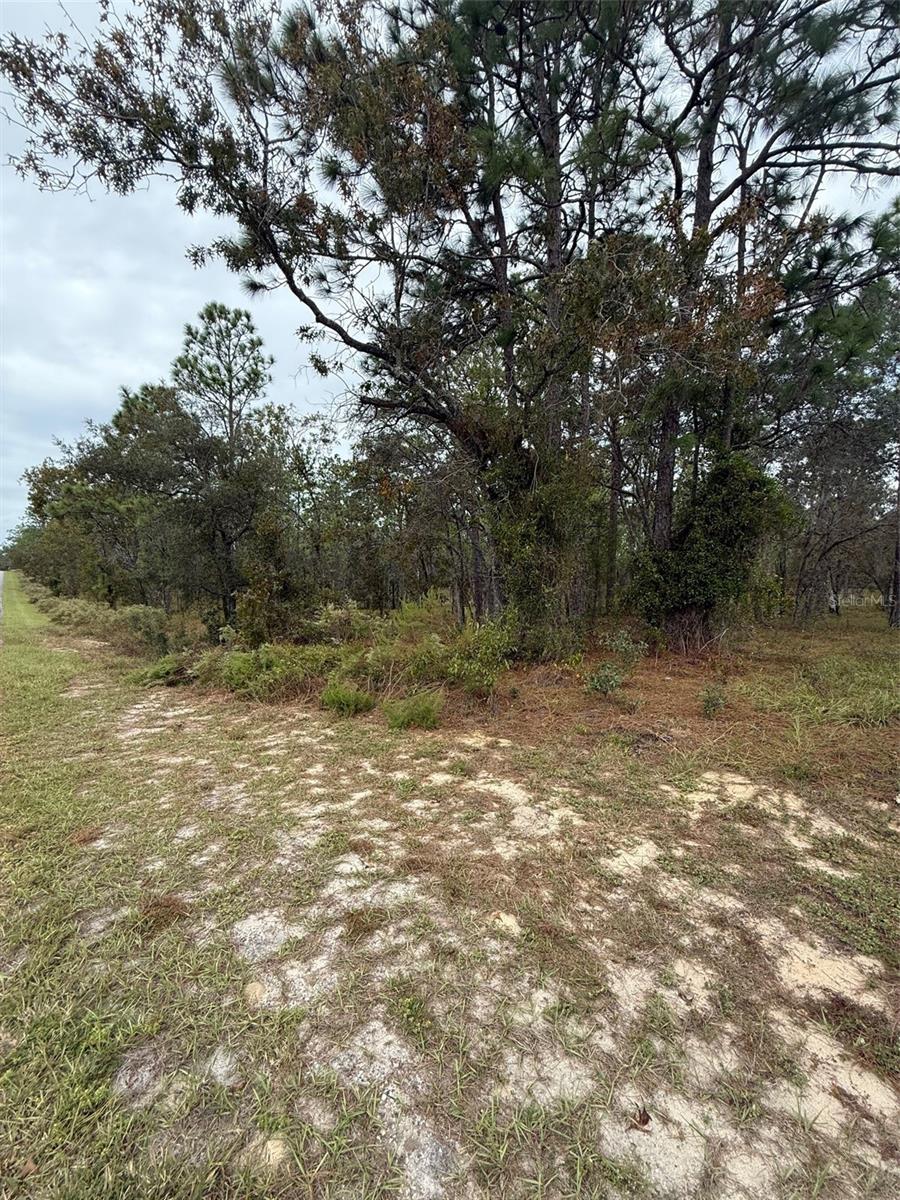 NW AMBERJACK AVE, DUNNELLON, FL — photo 3