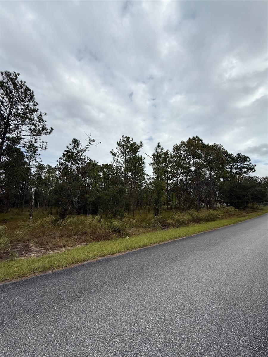 NW AMBERJACK AVE, DUNNELLON, FL — photo 5