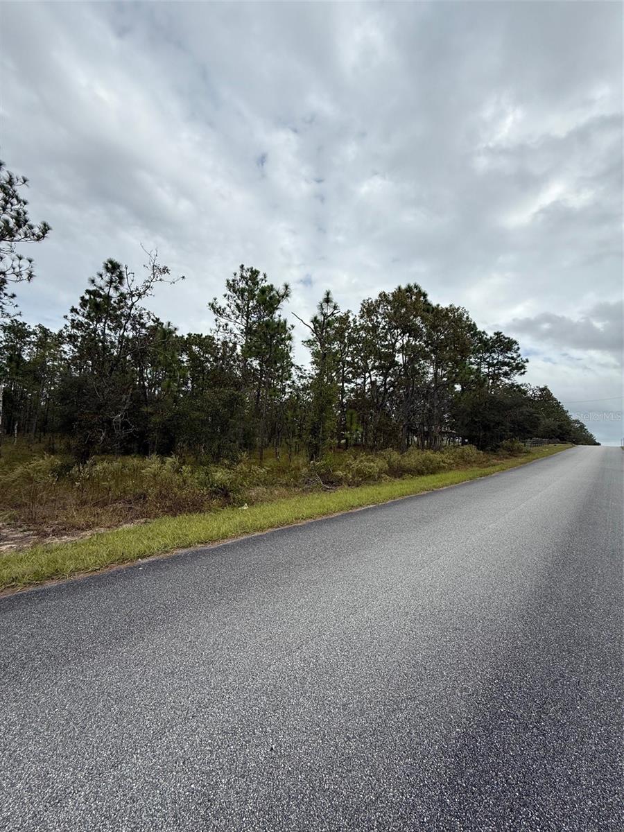 NW AMBERJACK AVE, DUNNELLON, FL — photo 6