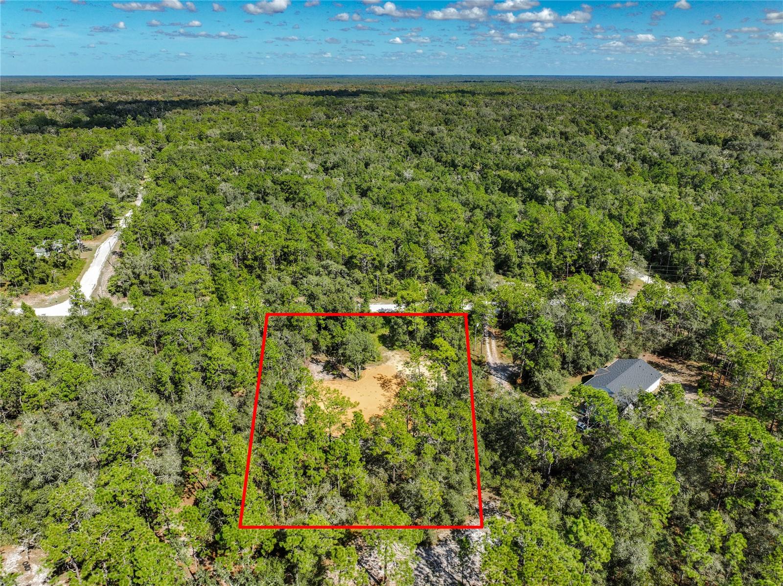 33216 TEAKWOOD DR, WEBSTER, FL — photo 3
