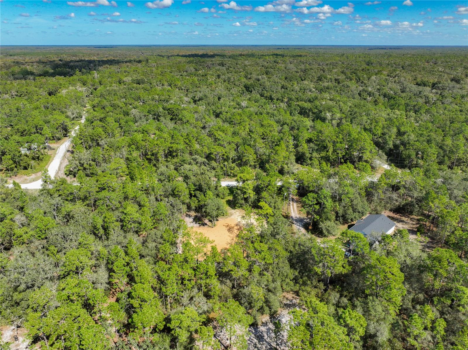 33216 TEAKWOOD DR, WEBSTER, FL — photo 13