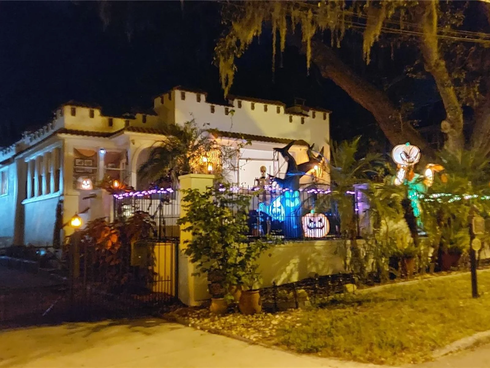 229 E 6TH AVE, MOUNT DORA, FL — photo 88