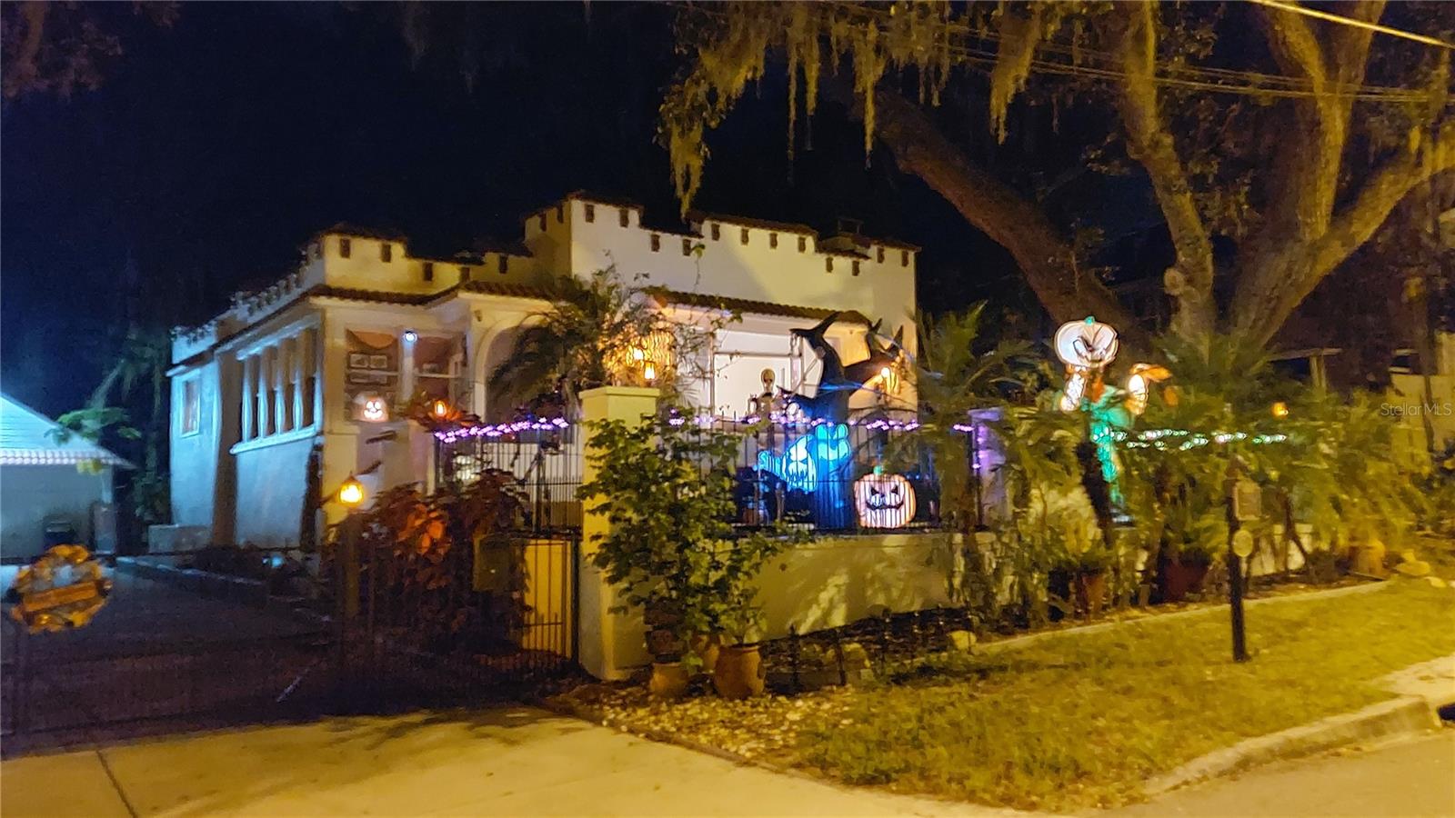 229 E 6TH AVE, MOUNT DORA, FL — photo 87