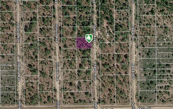 LOT 14 15 16 AND 17 IDAHO AVE, HAWTHORNE, FL — photo 6