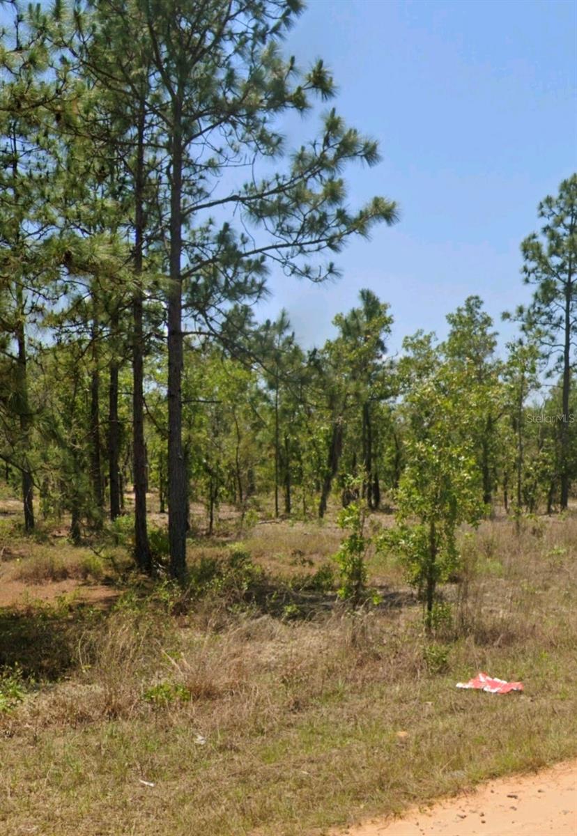 LOT 14 15 16 AND 17 IDAHO AVE, HAWTHORNE, FL