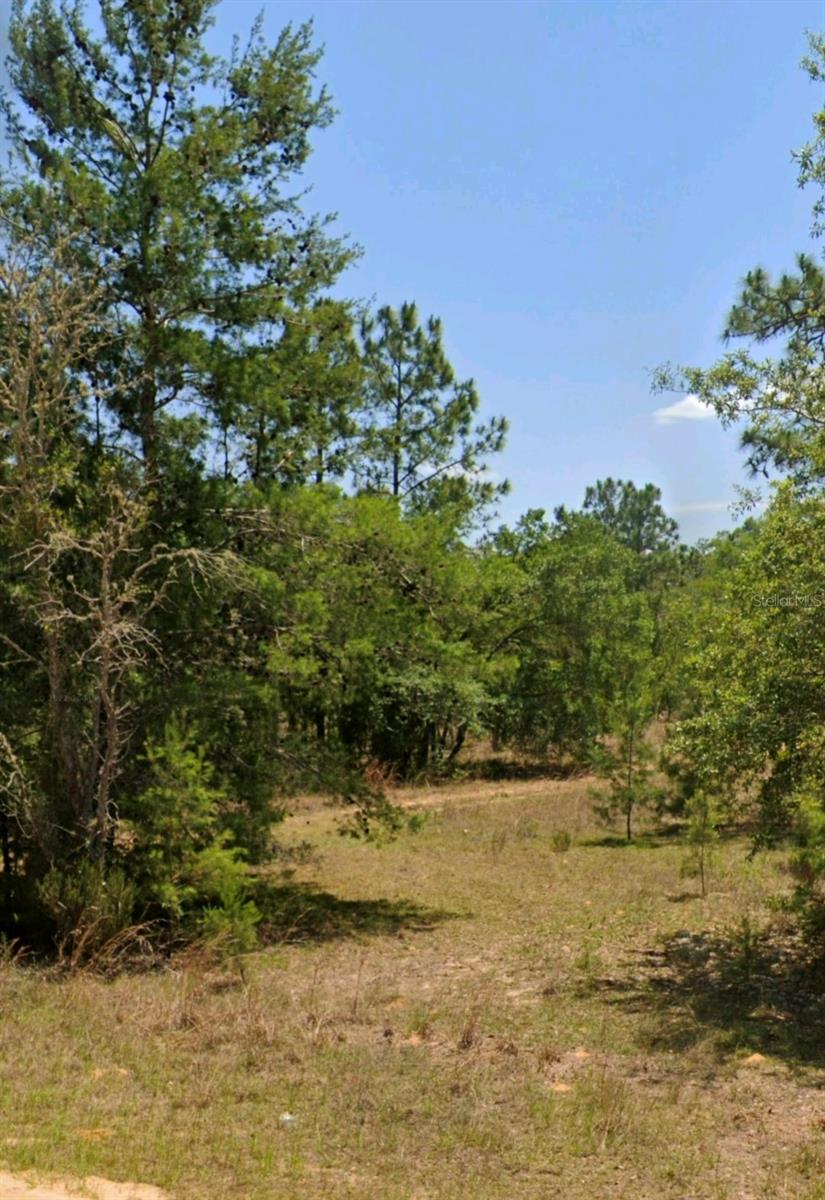 LOT 14 15 16 AND 17 IDAHO AVE, HAWTHORNE, FL — photo 3