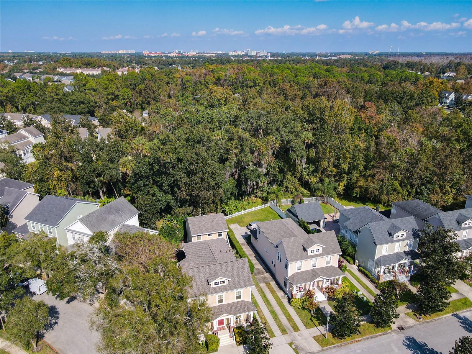 1101 BANKS ROSE CT, CELEBRATION, FL — photo 7