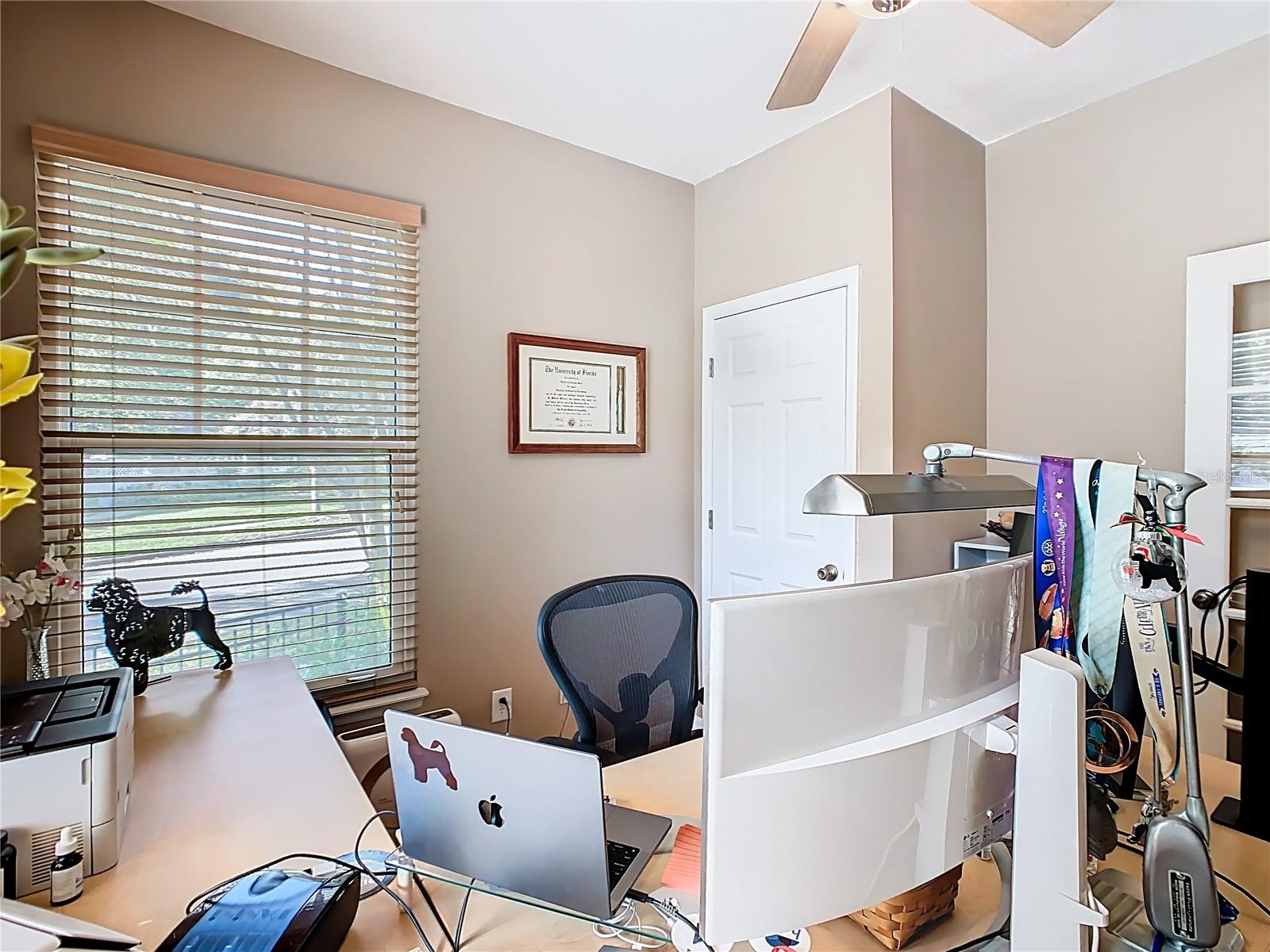 1101 BANKS ROSE CT, CELEBRATION, FL — photo 51
