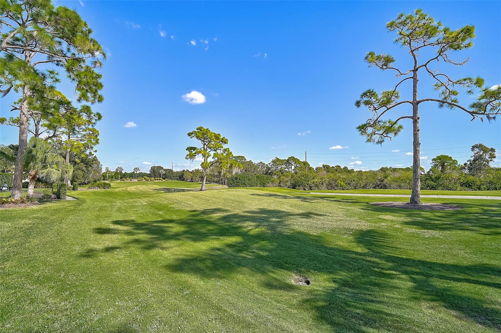 538 DOVE POINTE DR, OSPREY, FL — photo 46