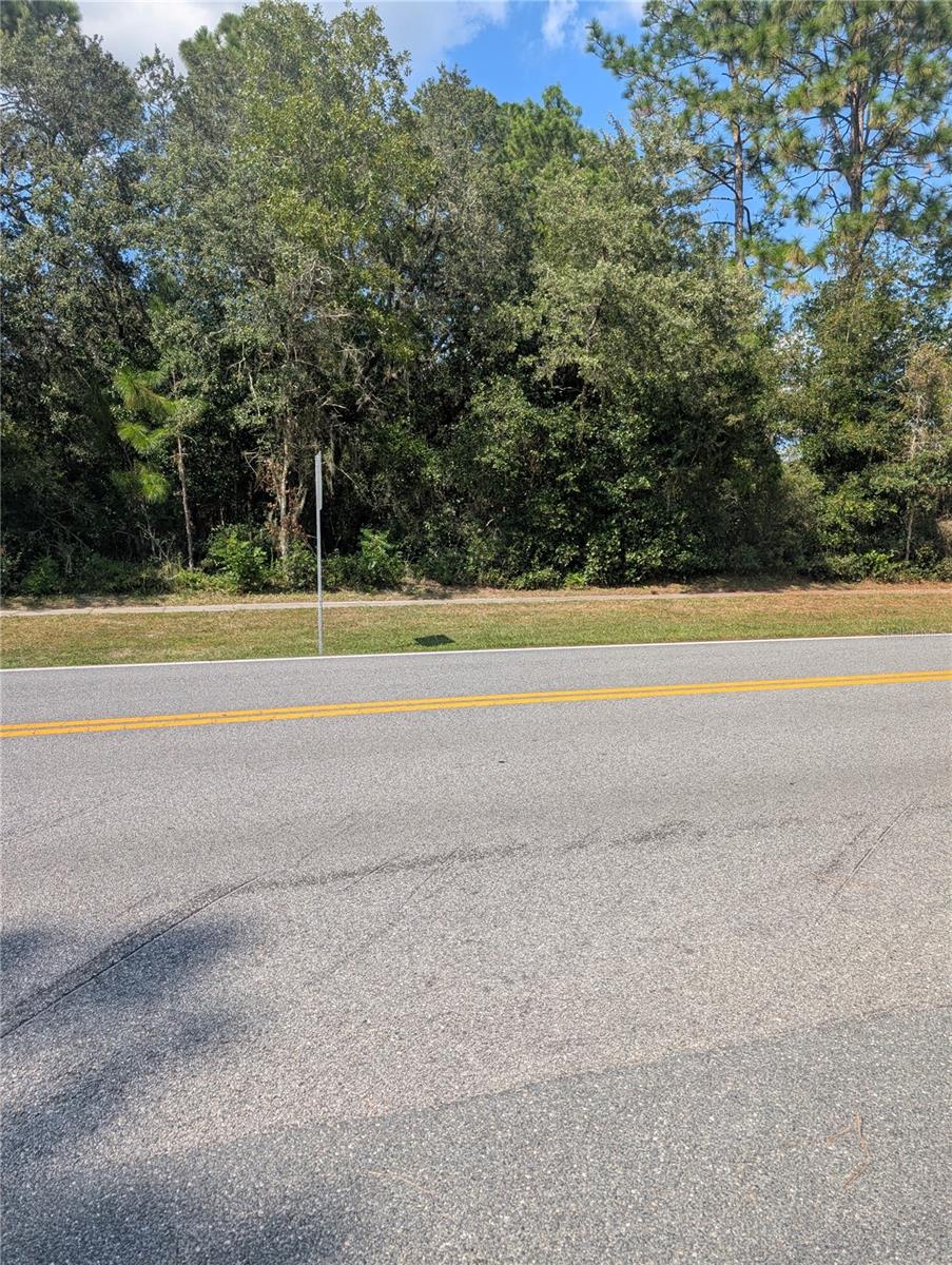 3515 W CENTURY BLVD, CITRUS SPRINGS, FL — photo 5