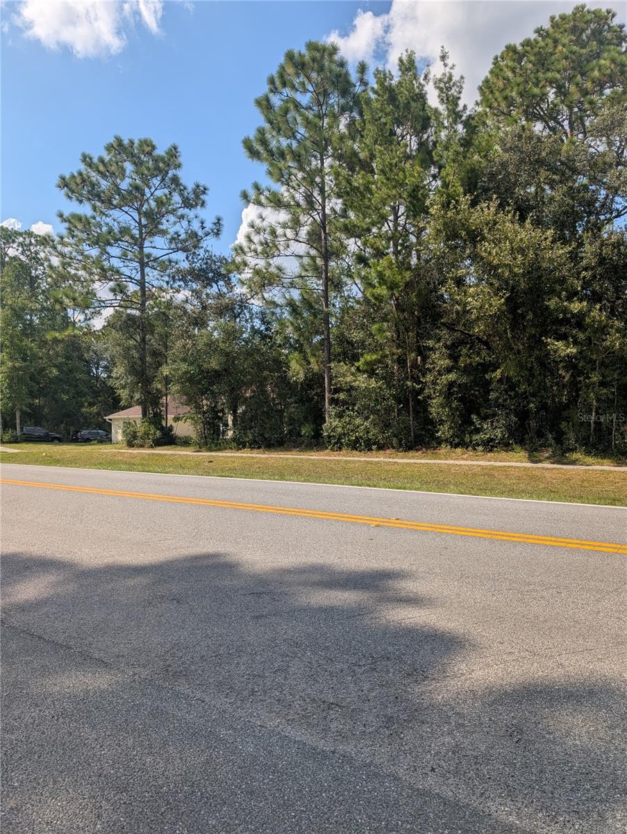 3515 W CENTURY BLVD, CITRUS SPRINGS, FL — photo 10