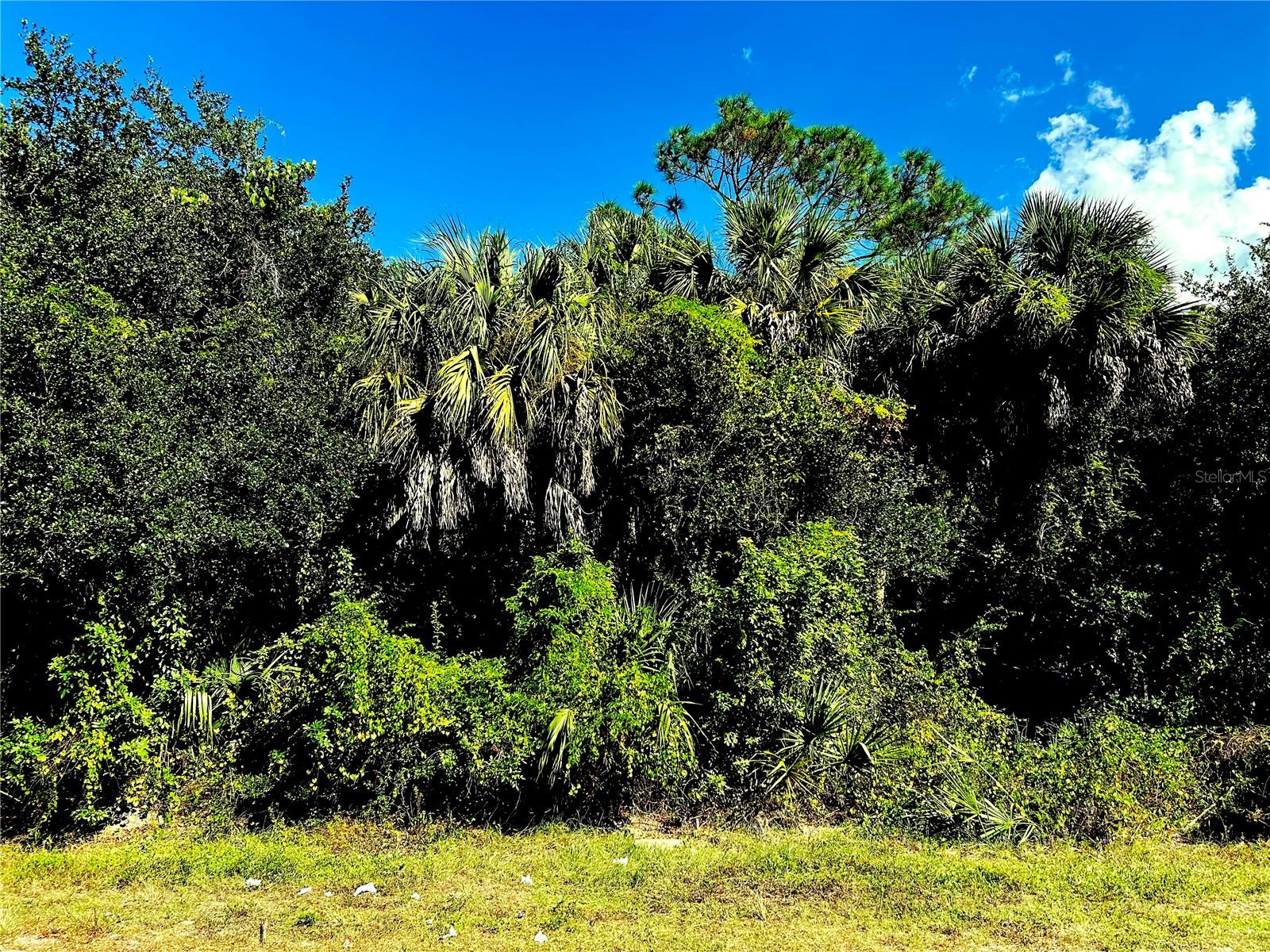 1428 KENESAW ST, PORT CHARLOTTE, FL — photo 3
