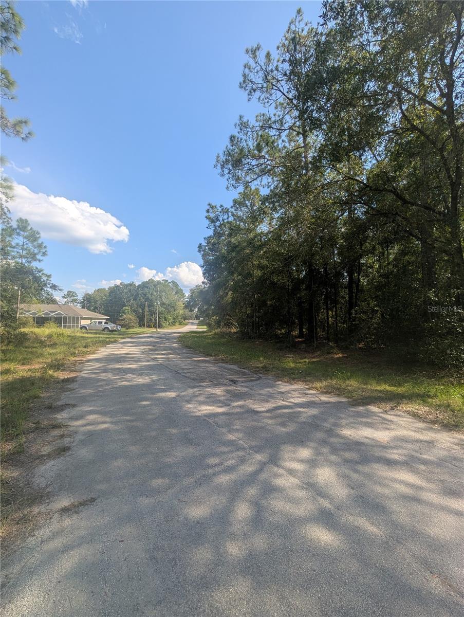 10484 N HOLCOMB DR, CITRUS SPRINGS, FL
