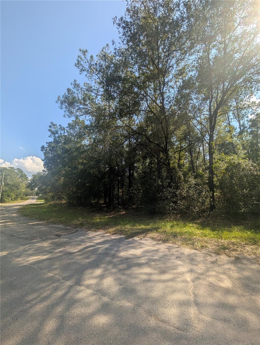 10484 N HOLCOMB DR, CITRUS SPRINGS, FL — photo 2