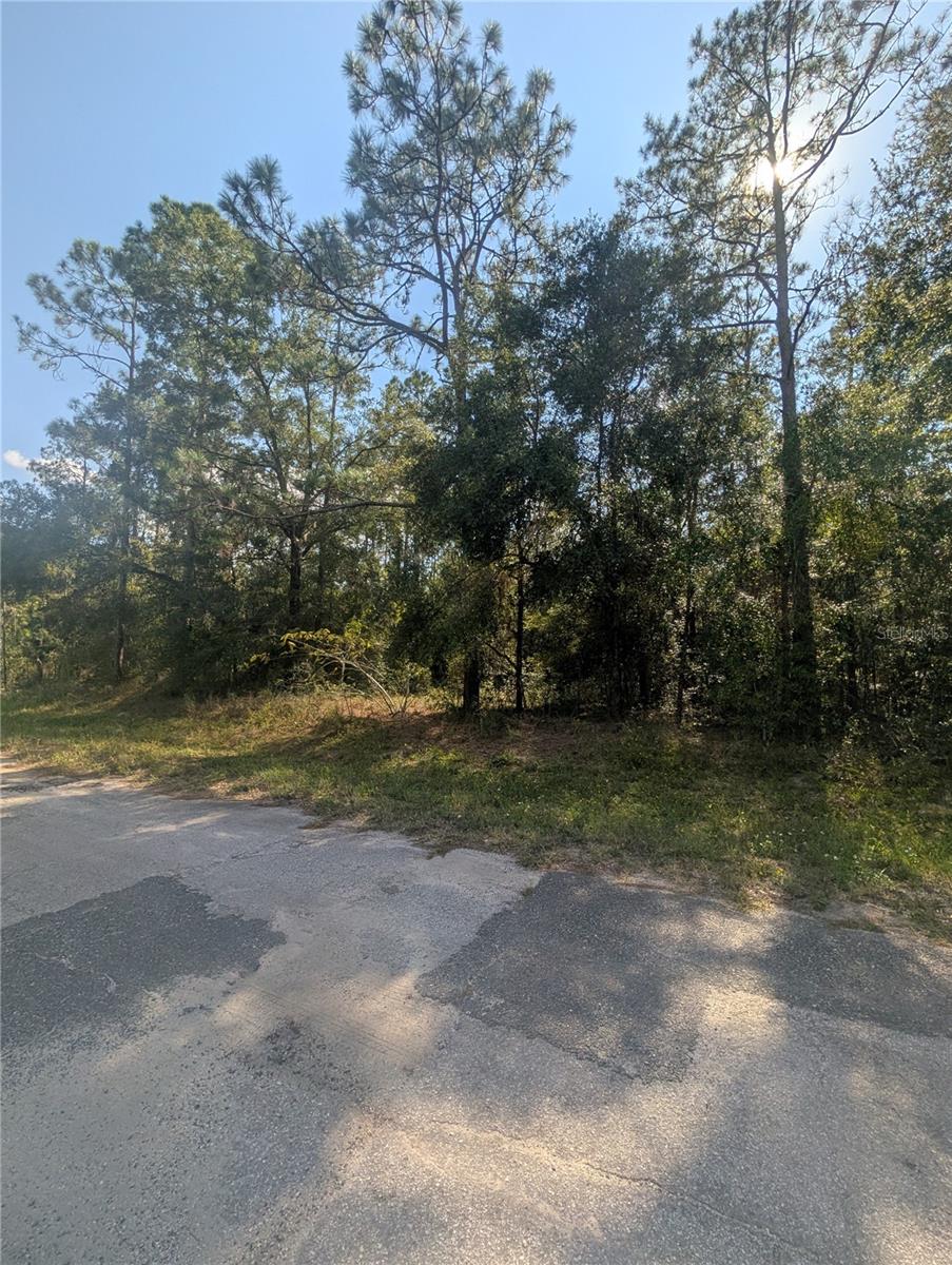10484 N HOLCOMB DR, CITRUS SPRINGS, FL — photo 4