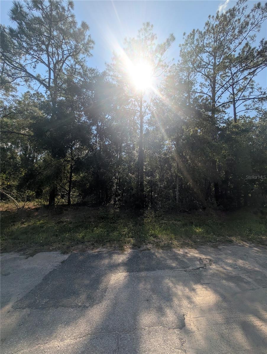 10484 N HOLCOMB DR, CITRUS SPRINGS, FL — photo 5