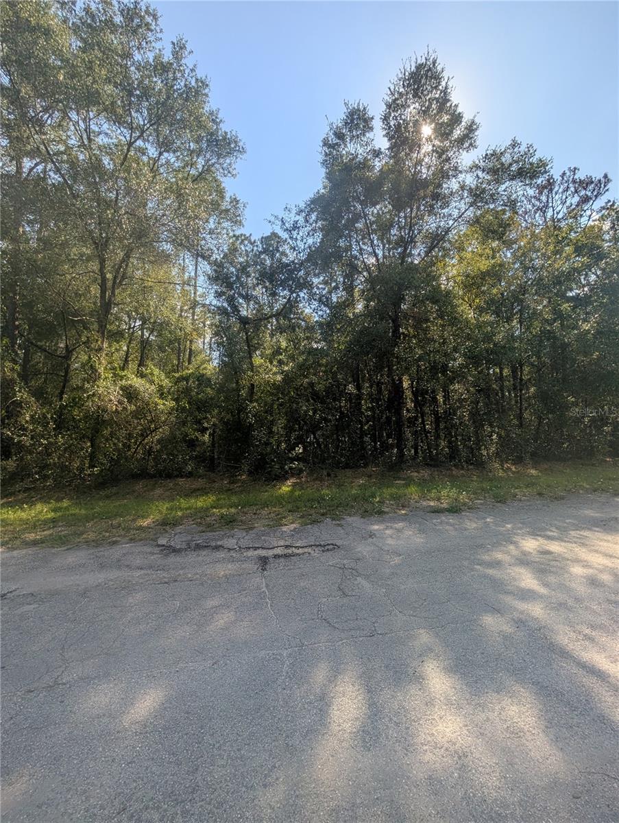 10484 N HOLCOMB DR, CITRUS SPRINGS, FL — photo 8