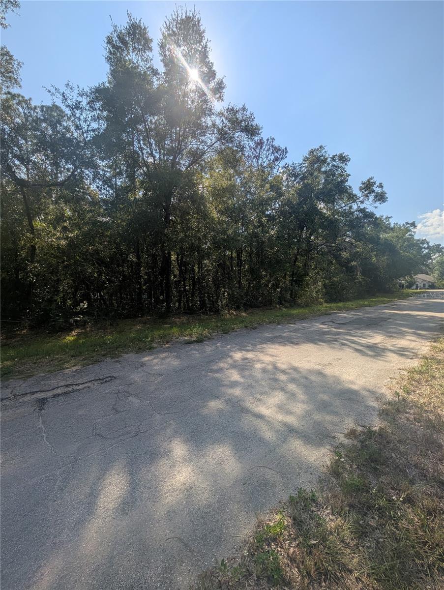 10484 N HOLCOMB DR, CITRUS SPRINGS, FL — photo 9