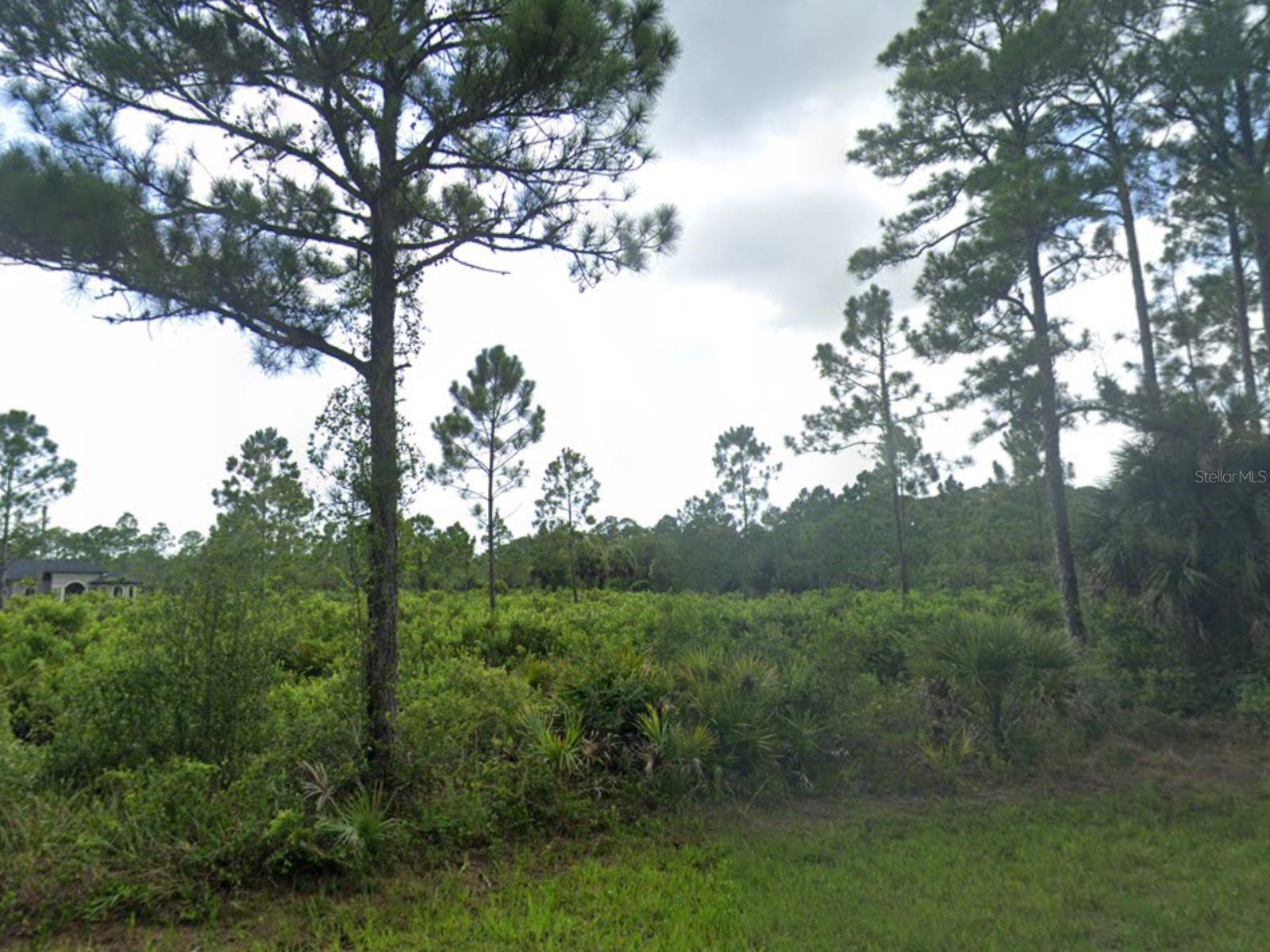 463 REESE ST, PORT CHARLOTTE, FL