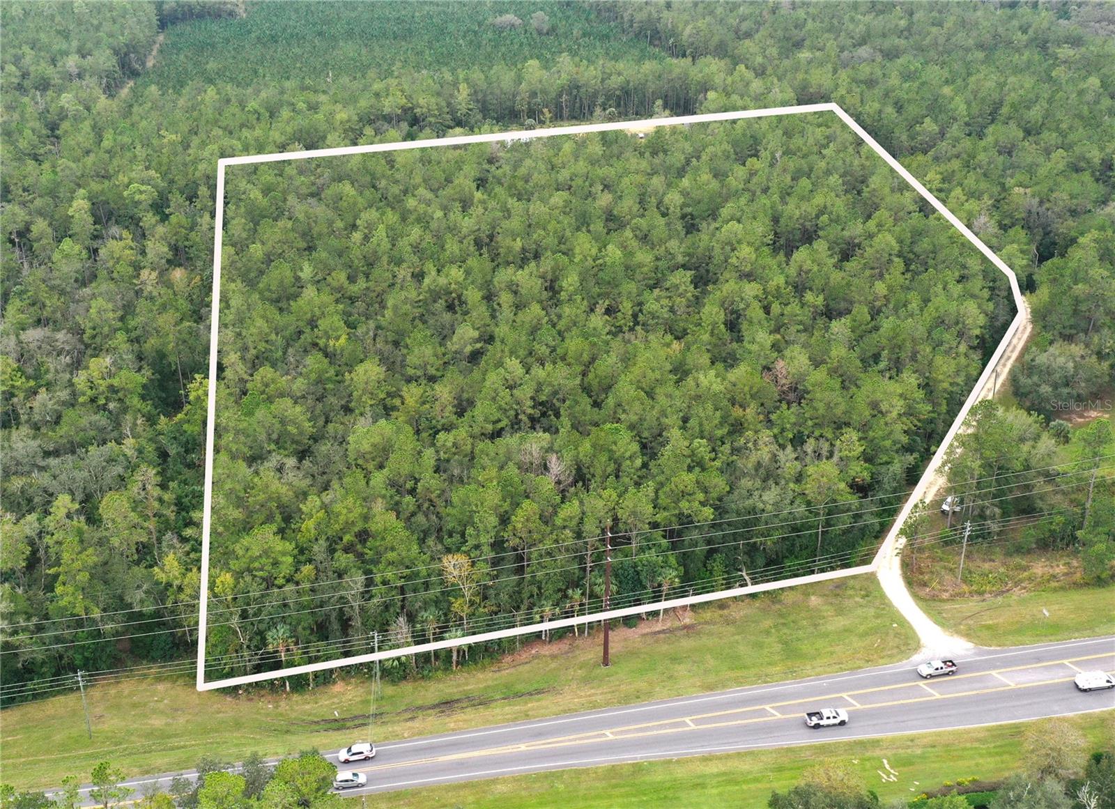 TBD E HIGHWAY 40, SILVER SPRINGS, FL