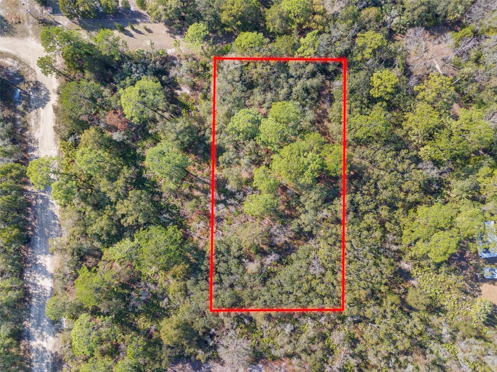 419 N VESPER PT, CRYSTAL RIVER, FL — photo 2