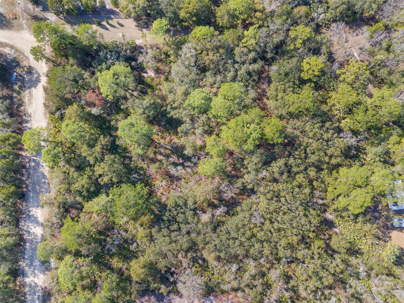 419 N VESPER PT, CRYSTAL RIVER, FL — photo 11