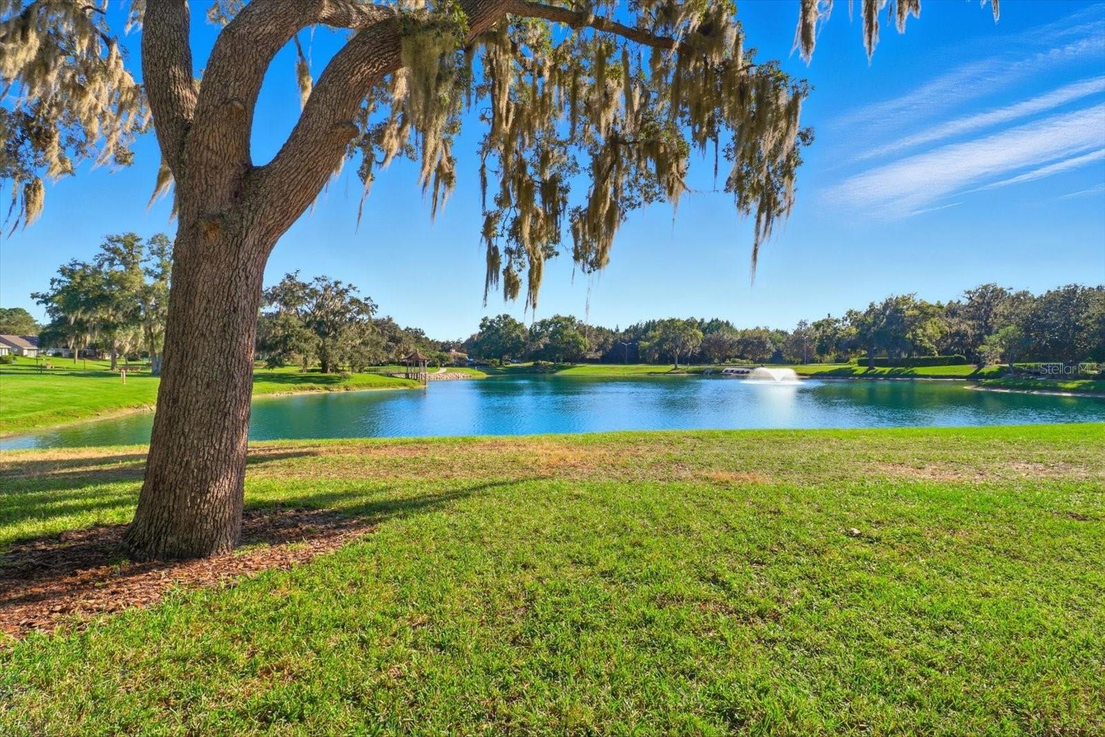 1690 N FOXBORO LOOP, CRYSTAL RIVER, FL — photo 53