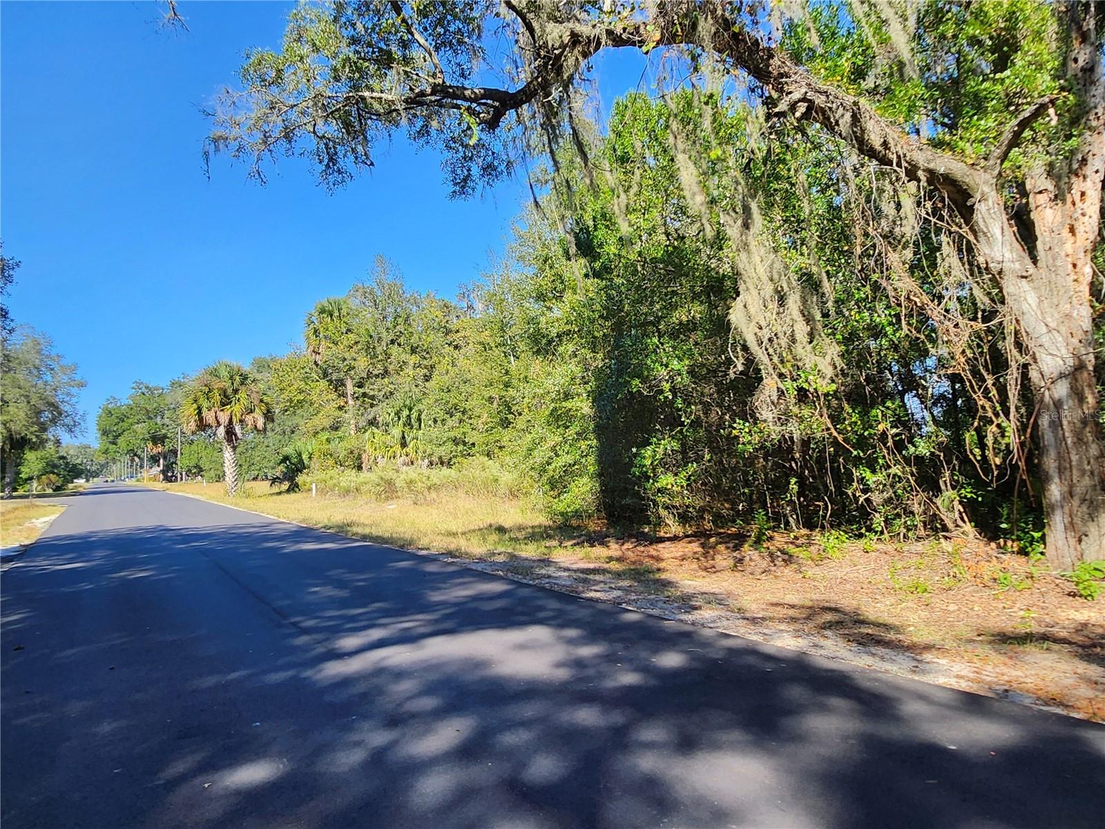 TBD SW 175 CT, DUNNELLON, FL — photo 8