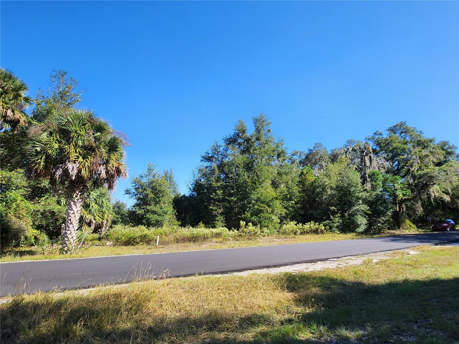 TBD SW 175 CT, DUNNELLON, FL — photo 10