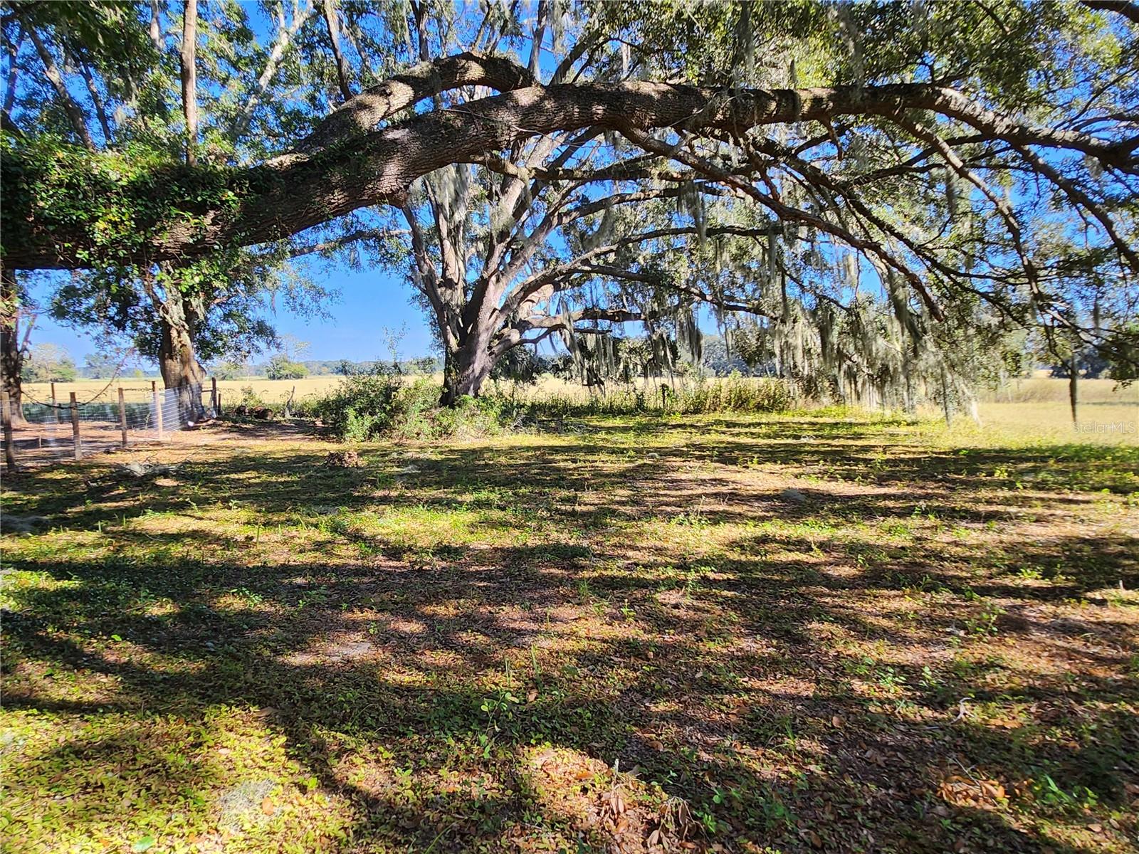 TBD SW 175 CT, DUNNELLON, FL — photo 19