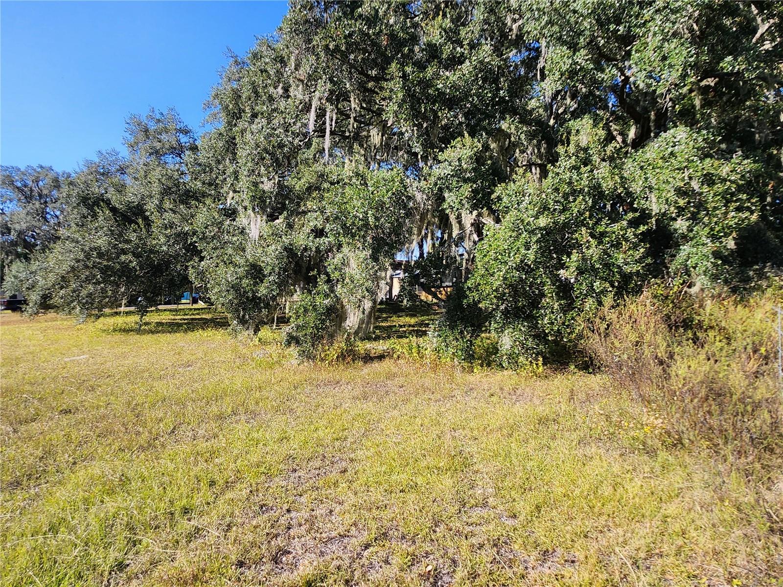 TBD SW 175 CT, DUNNELLON, FL — photo 24
