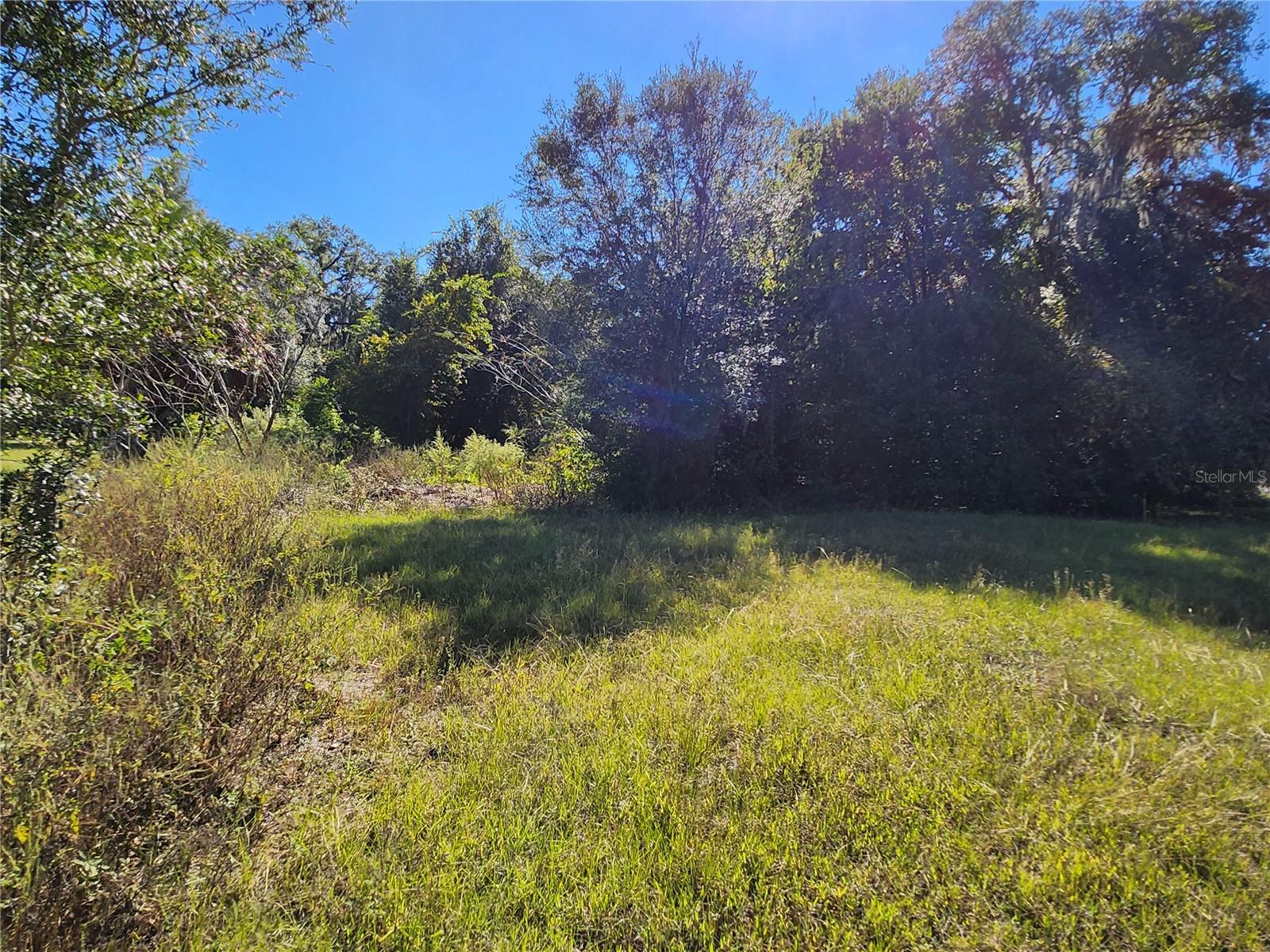 TBD SW 175 CT, DUNNELLON, FL — photo 26