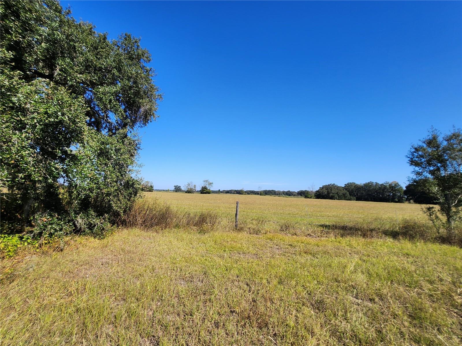 TBD SW 175 CT, DUNNELLON, FL — photo 32
