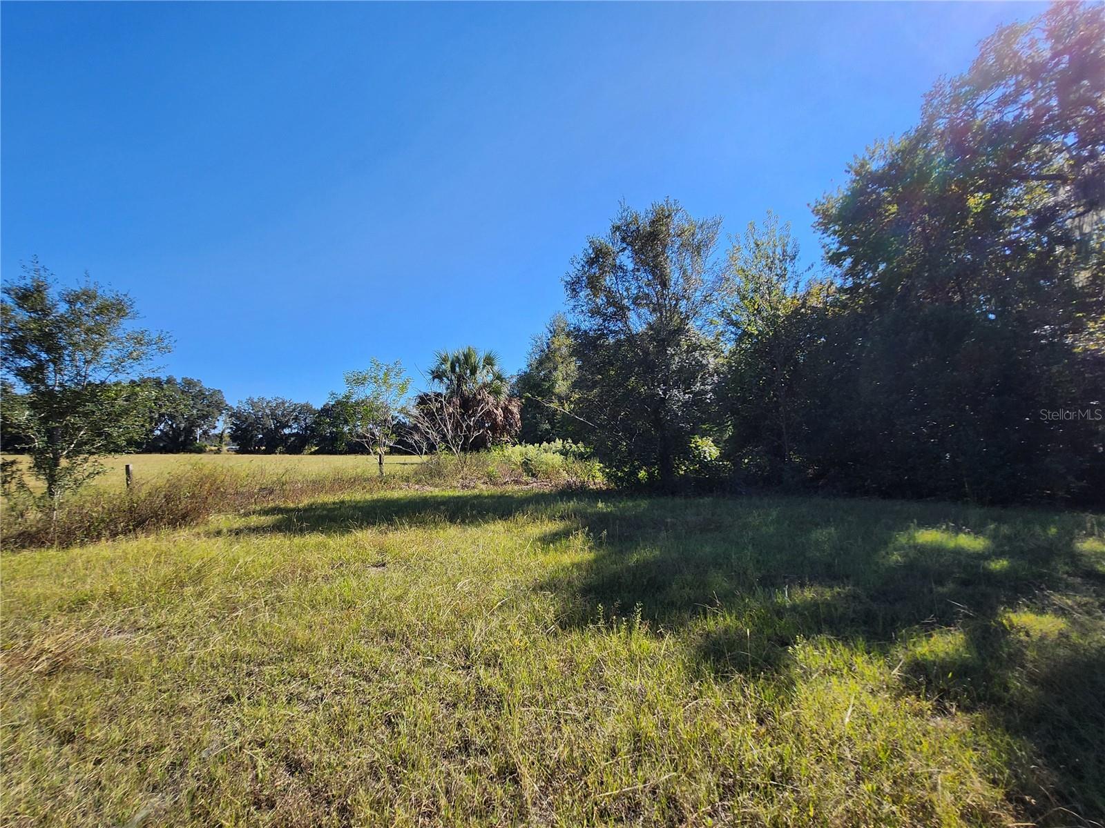 TBD SW 175 CT, DUNNELLON, FL — photo 33