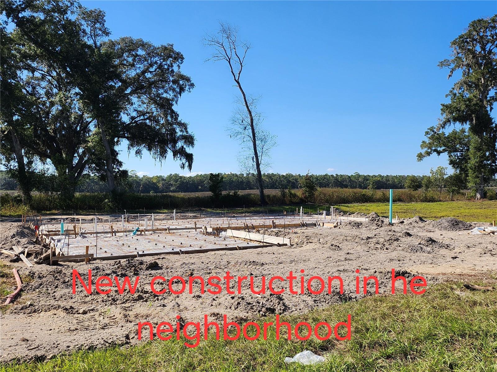 TBD SW 175 CT, DUNNELLON, FL — photo 34