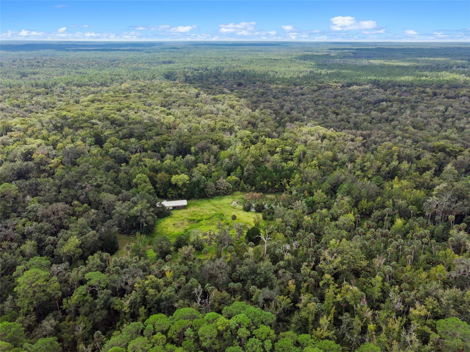 NFS 73 / ALCO RD, ASTOR, FL