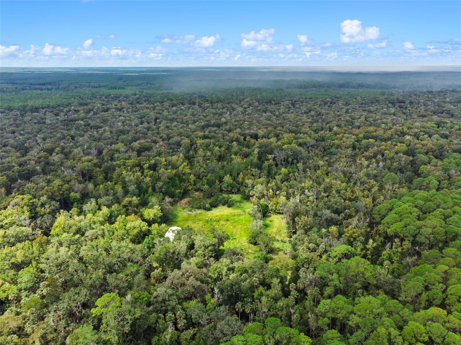 NFS 73 / ALCO RD, ASTOR, FL — photo 9