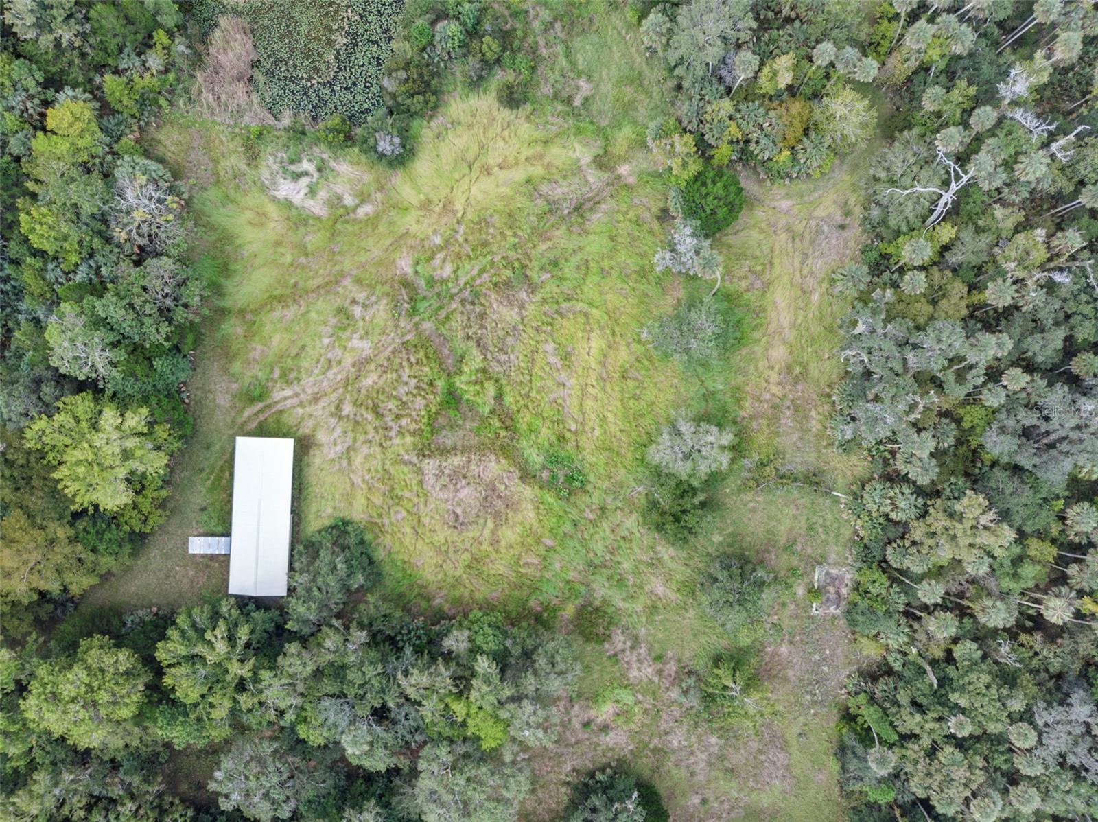 NFS 73 / ALCO RD, ASTOR, FL — photo 11