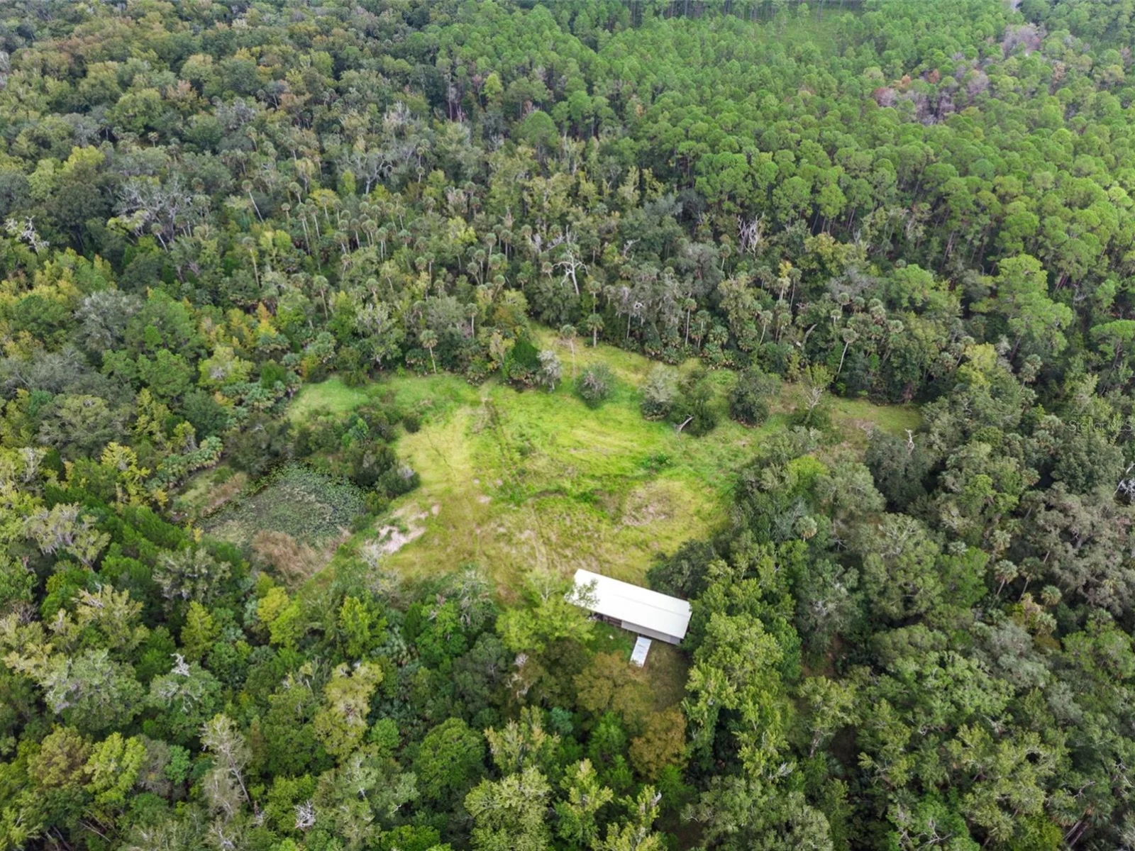 NFS 73 / ALCO RD, ASTOR, FL — photo 14