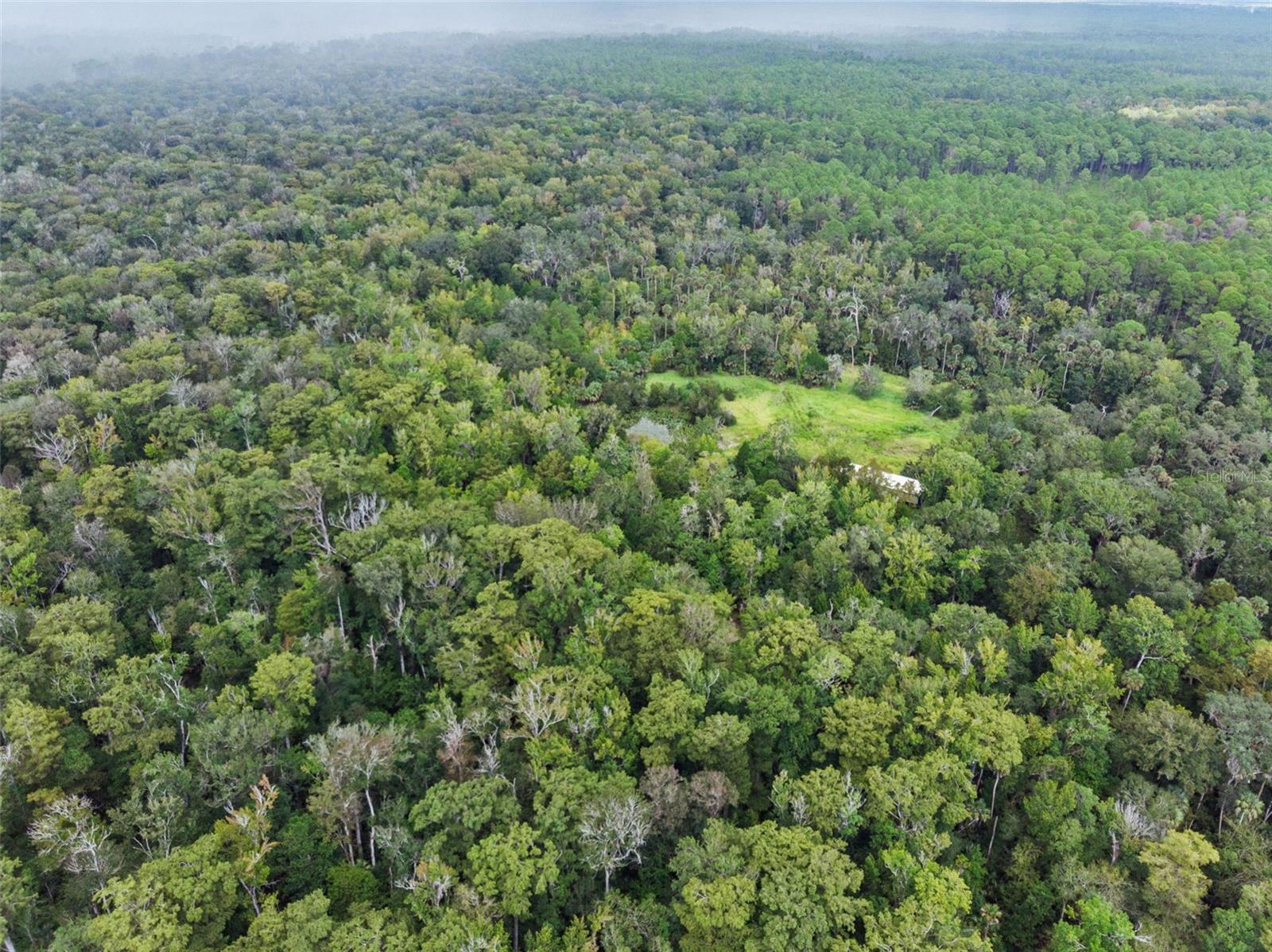 NFS 73 / ALCO RD, ASTOR, FL — photo 16