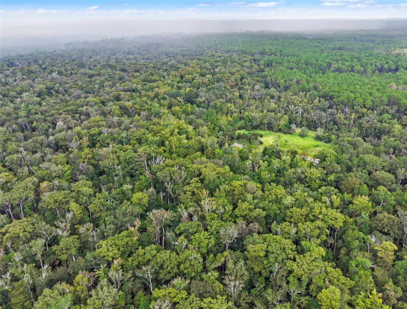 NFS 73 / ALCO RD, ASTOR, FL — photo 17