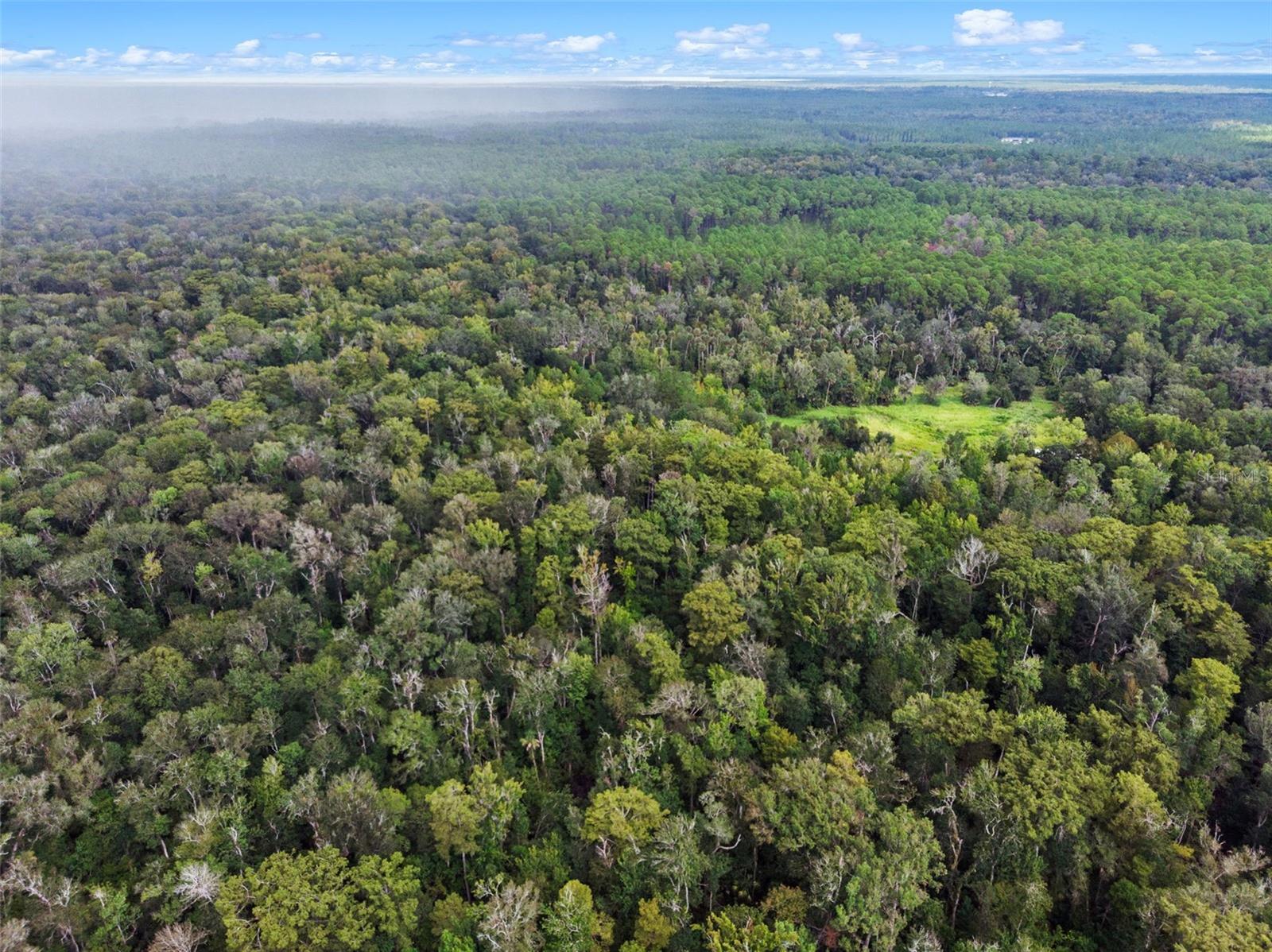 NFS 73 / ALCO RD, ASTOR, FL — photo 19