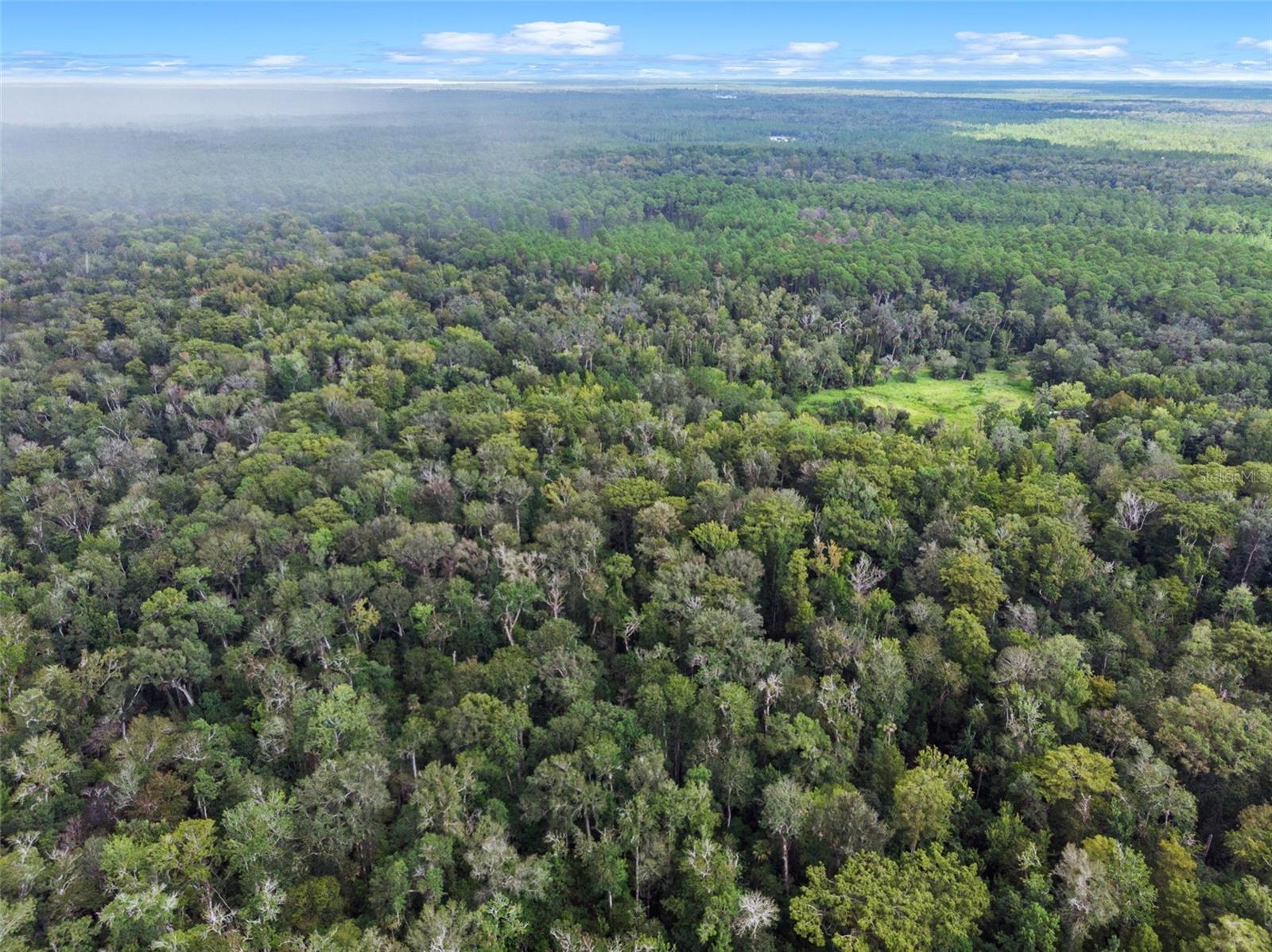 NFS 73 / ALCO RD, ASTOR, FL — photo 22