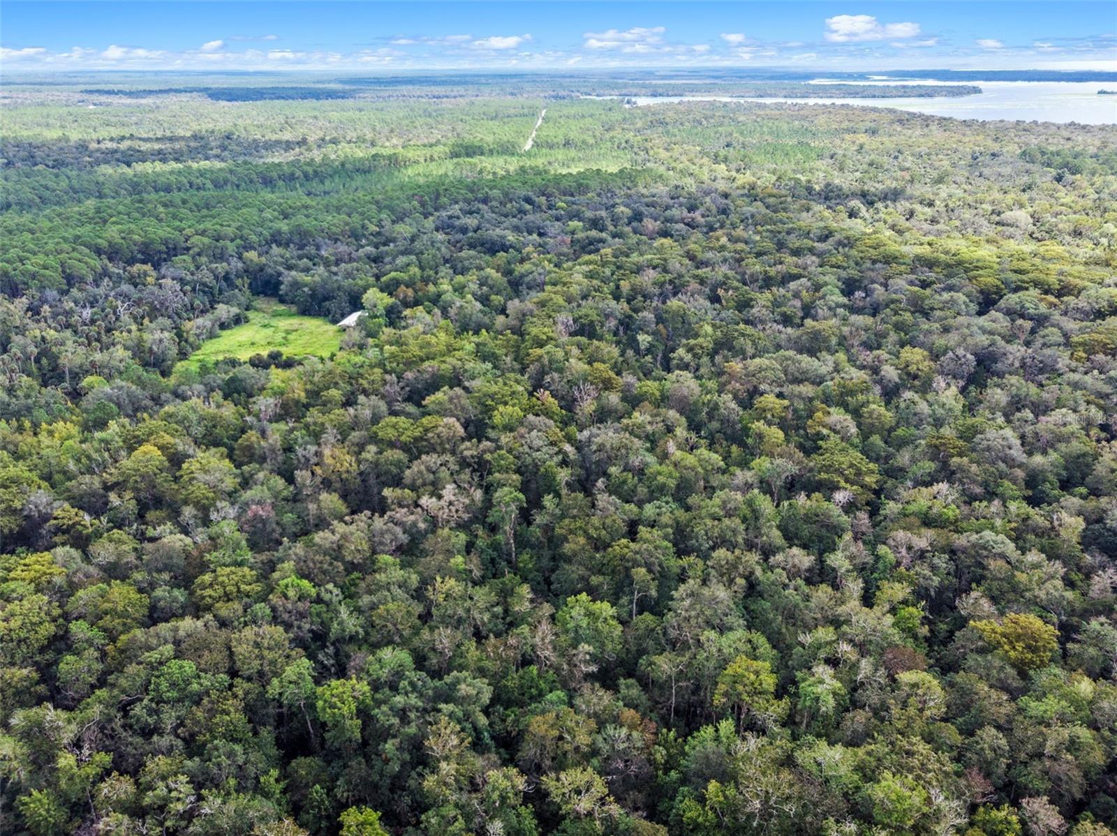 NFS 73 / ALCO RD, ASTOR, FL — photo 25
