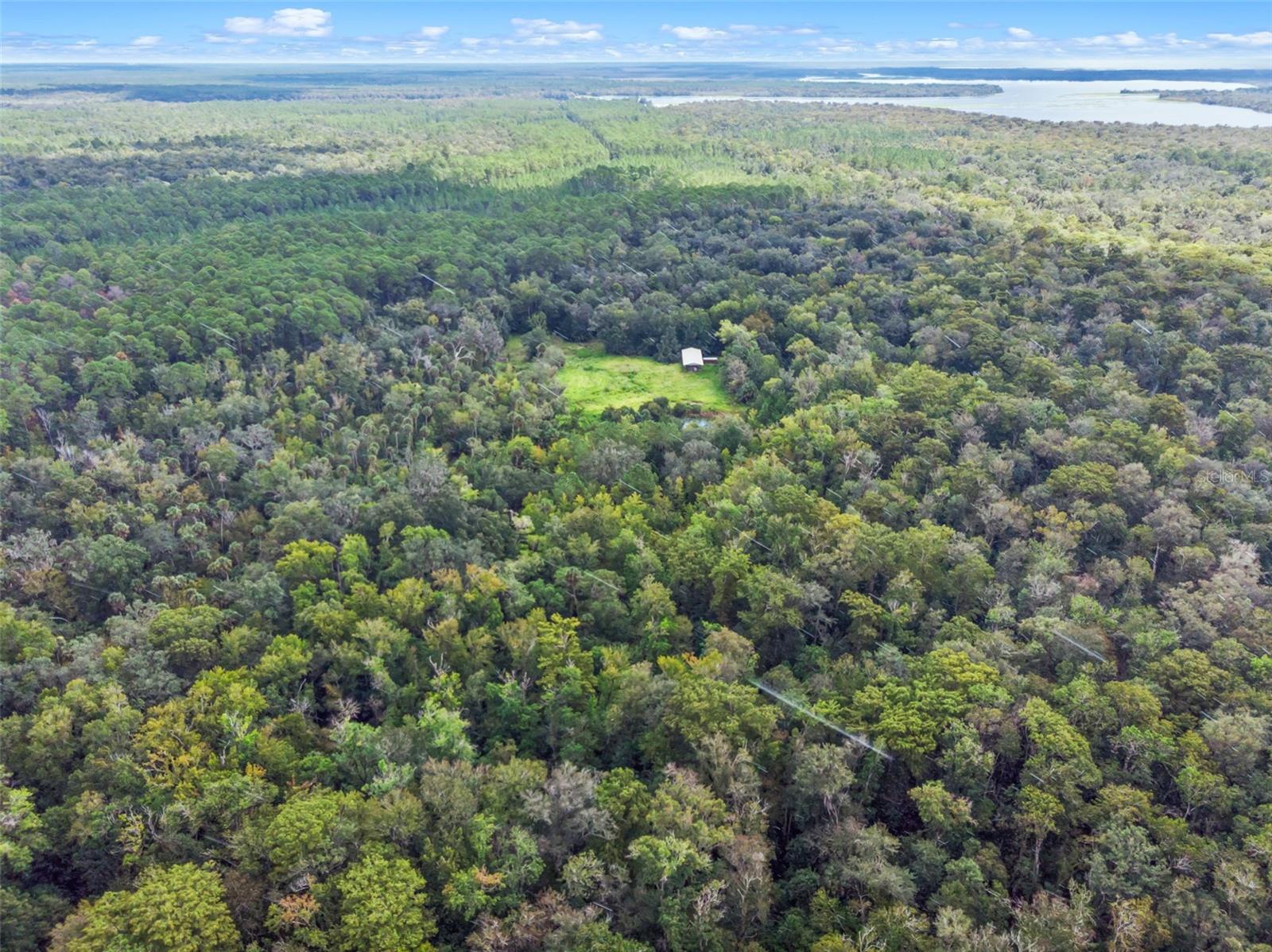 NFS 73 / ALCO RD, ASTOR, FL — photo 29