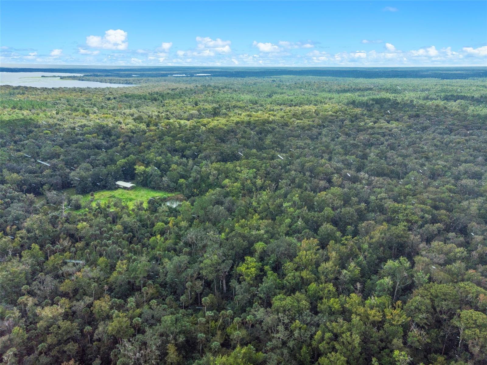 NFS 73 / ALCO RD, ASTOR, FL — photo 34