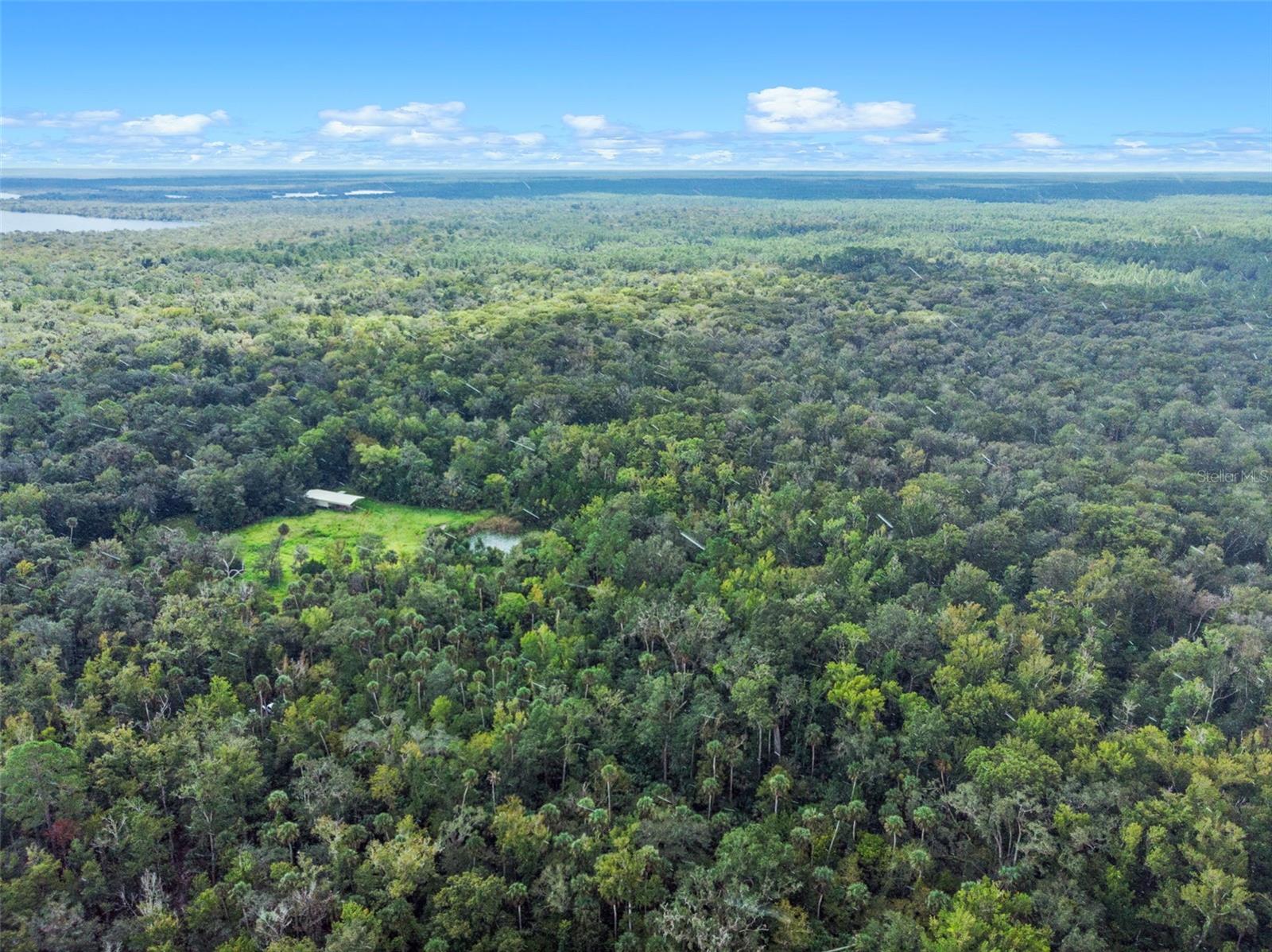 NFS 73 / ALCO RD, ASTOR, FL — photo 35