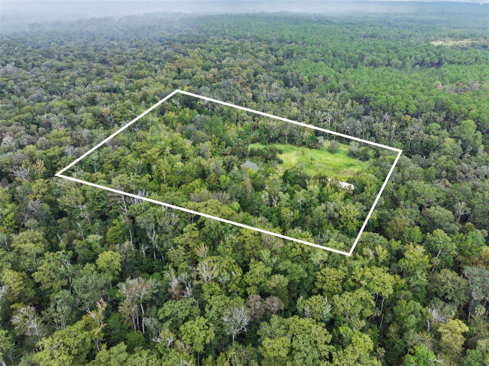 NFS 73 / ALCO RD, ASTOR, FL — photo 40