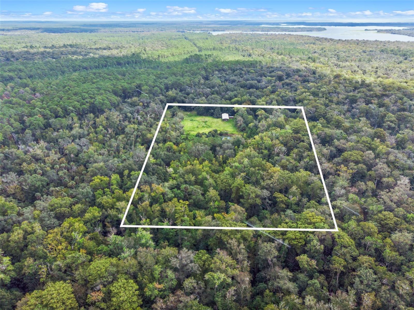 NFS 73 / ALCO RD, ASTOR, FL — photo 42