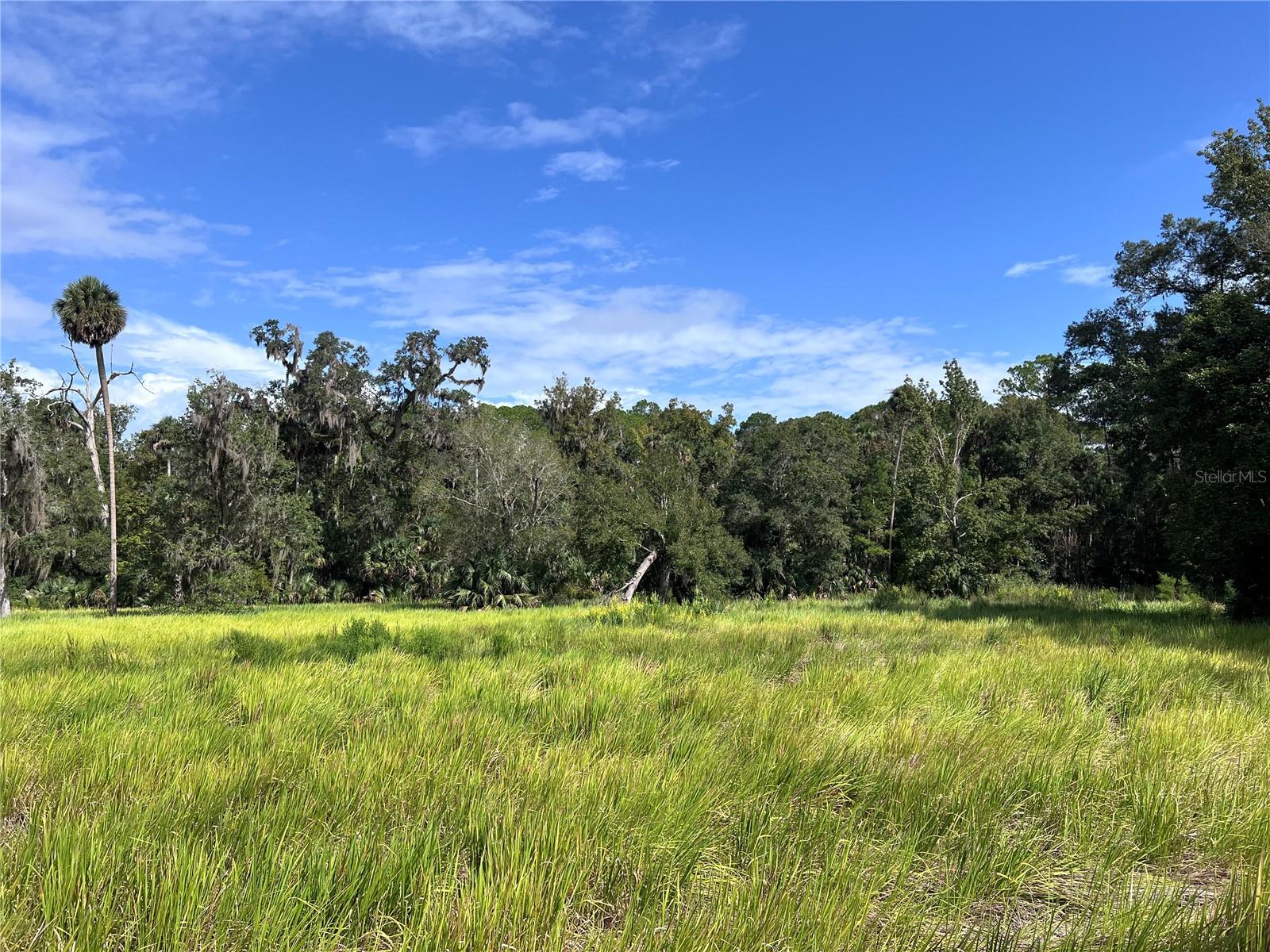NFS 73 / ALCO RD, ASTOR, FL — photo 62